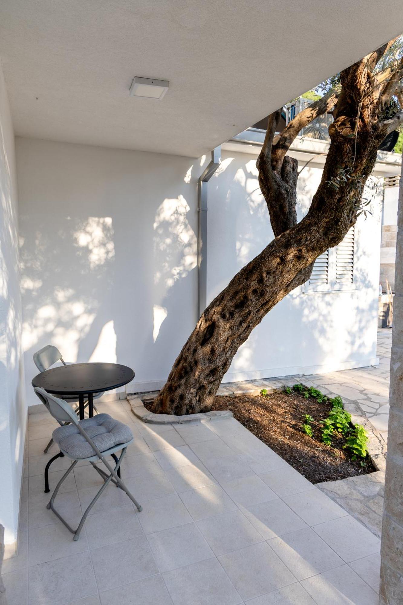 Residence Vukovic, Rezevici Ngoại thất bức ảnh